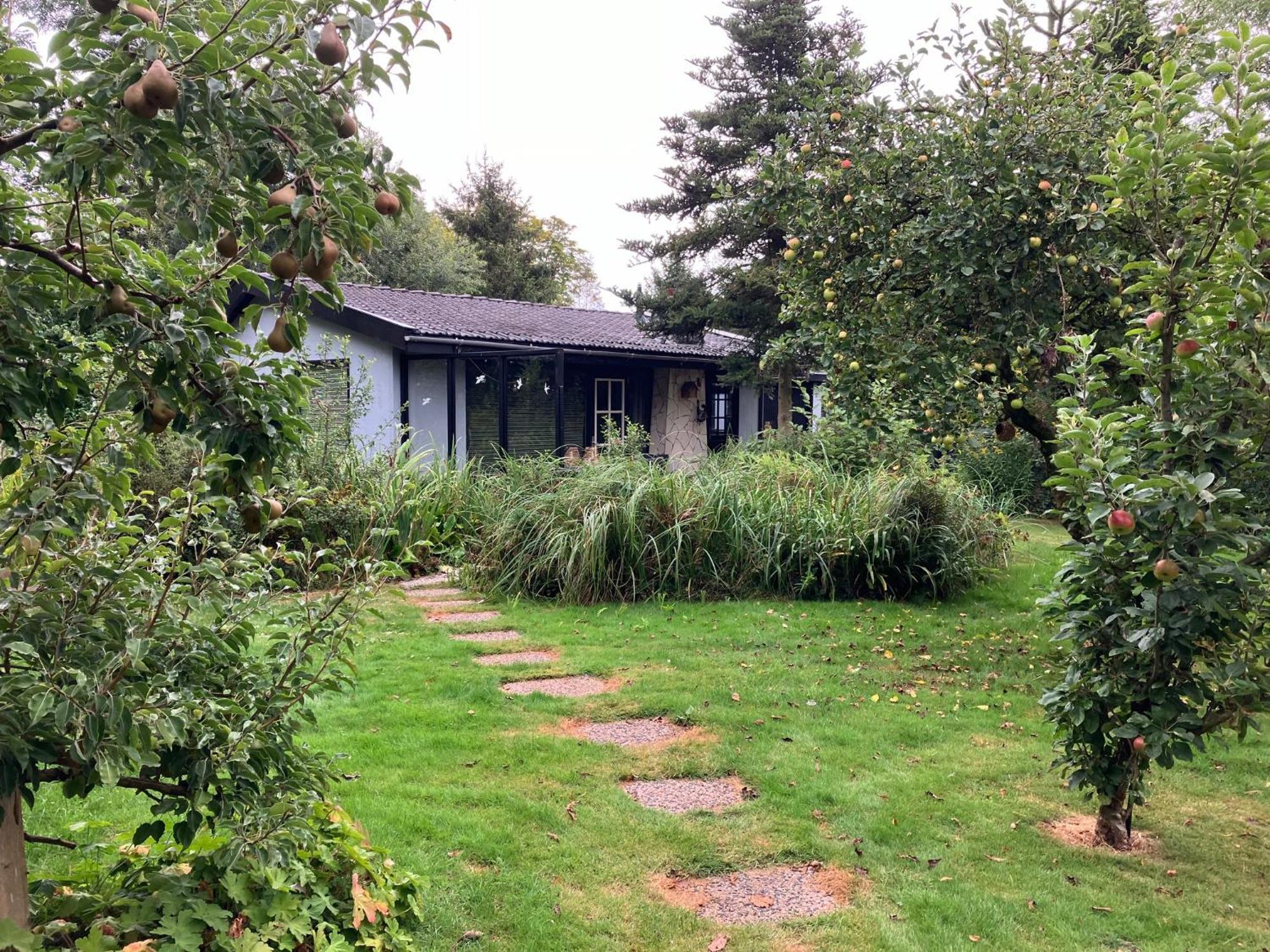 Natuurhuisje Eartswoud Aartswoud Exterior photo